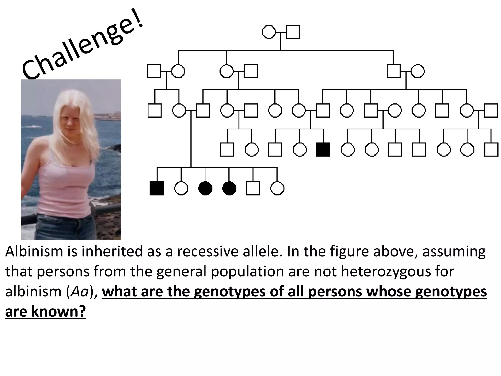 Albinism is inherited as a recessive allele. In the figure above, assuming
that persons from the general population are not heterozygous for
albinism (Aa), what are the genotypes of all persons whose genotypes
are known?
 