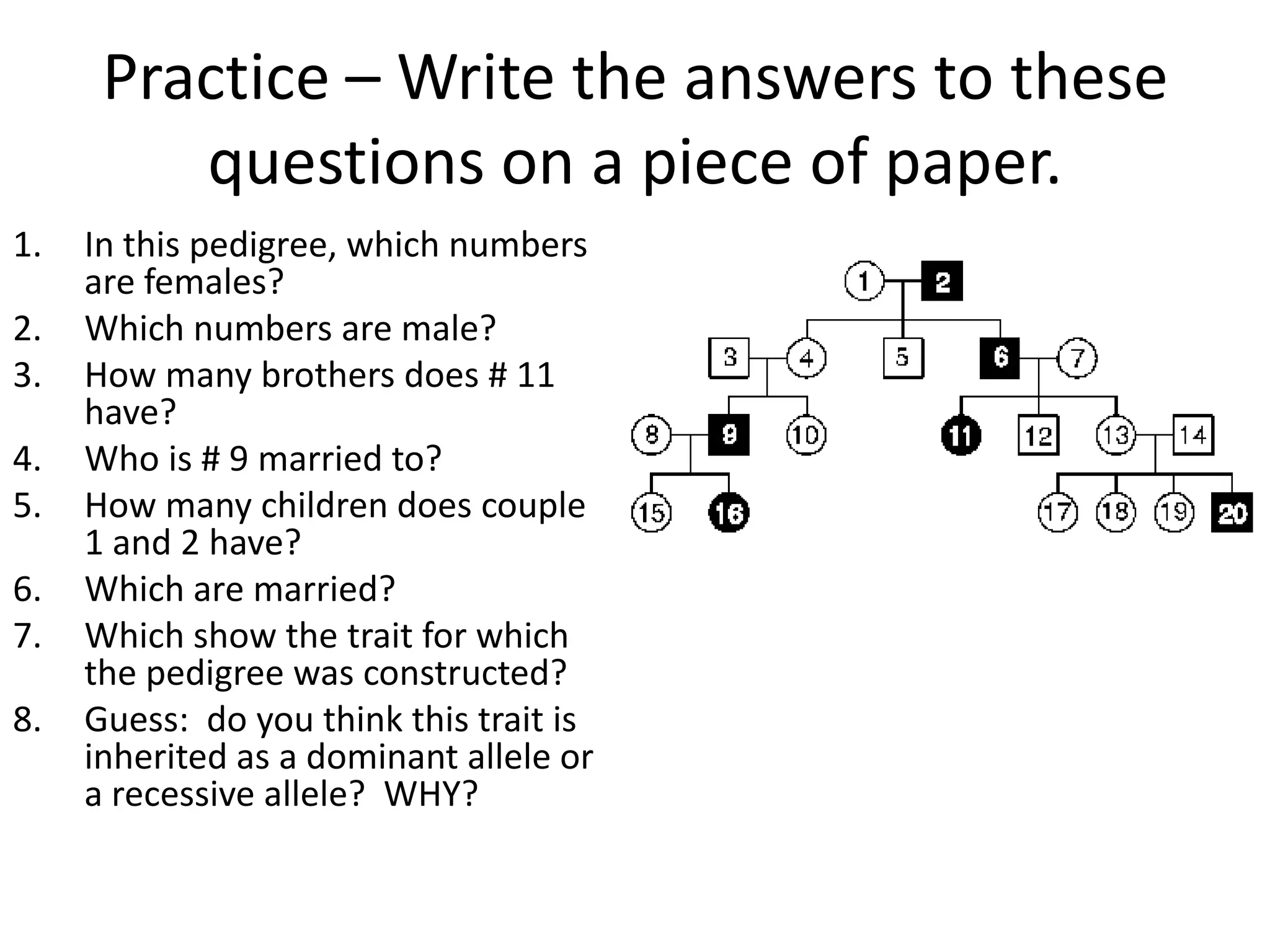 Practice – Write the answers to these
         questions on a piece of paper.
1.   In this pedigree, which numbers
     are females?
2.   Which numbers are male?
3.   How many brothers does # 11
     have?
4.   Who is # 9 married to?
5.   How many children does couple
     1 and 2 have?
6.   Which are married?
7.   Which show the trait for which
     the pedigree was constructed?
8.   Guess: do you think this trait is
     inherited as a dominant allele or
     a recessive allele? WHY?
 