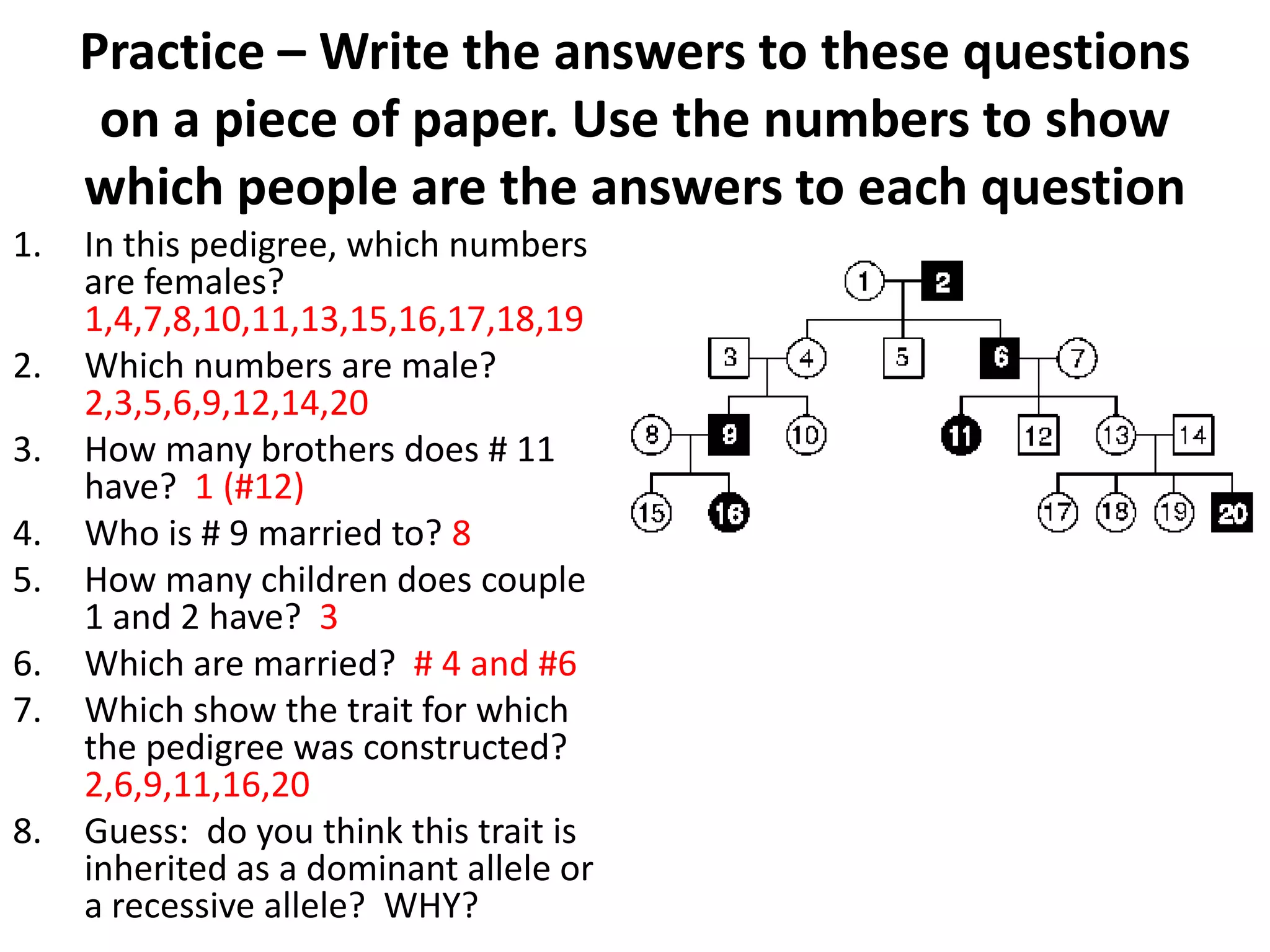Practice – Write the answers to these questions
      on a piece of paper. Use the numbers to show
     which people are the answers to each question
1.   In this pedigree, which numbers
     are females?
     1,4,7,8,10,11,13,15,16,17,18,19
2.   Which numbers are male?
     2,3,5,6,9,12,14,20
3.   How many brothers does # 11
     have? 1 (#12)
4.   Who is # 9 married to? 8
5.   How many children does couple
     1 and 2 have? 3
6.   Which are married? # 4 and #6
7.   Which show the trait for which
     the pedigree was constructed?
     2,6,9,11,16,20
8.   Guess: do you think this trait is
     inherited as a dominant allele or
     a recessive allele? WHY?
 