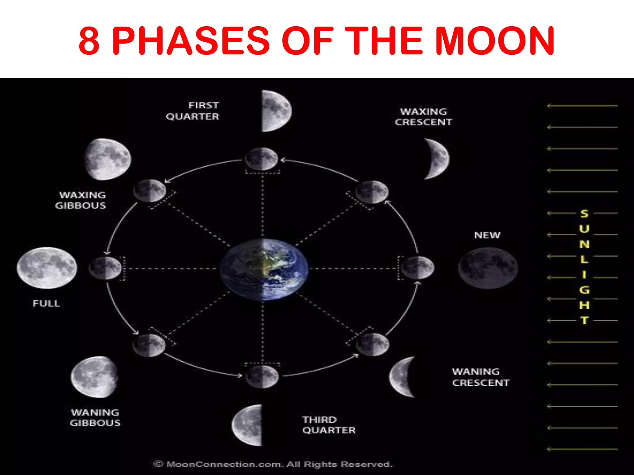8 PHASES OF THE MOON
 
