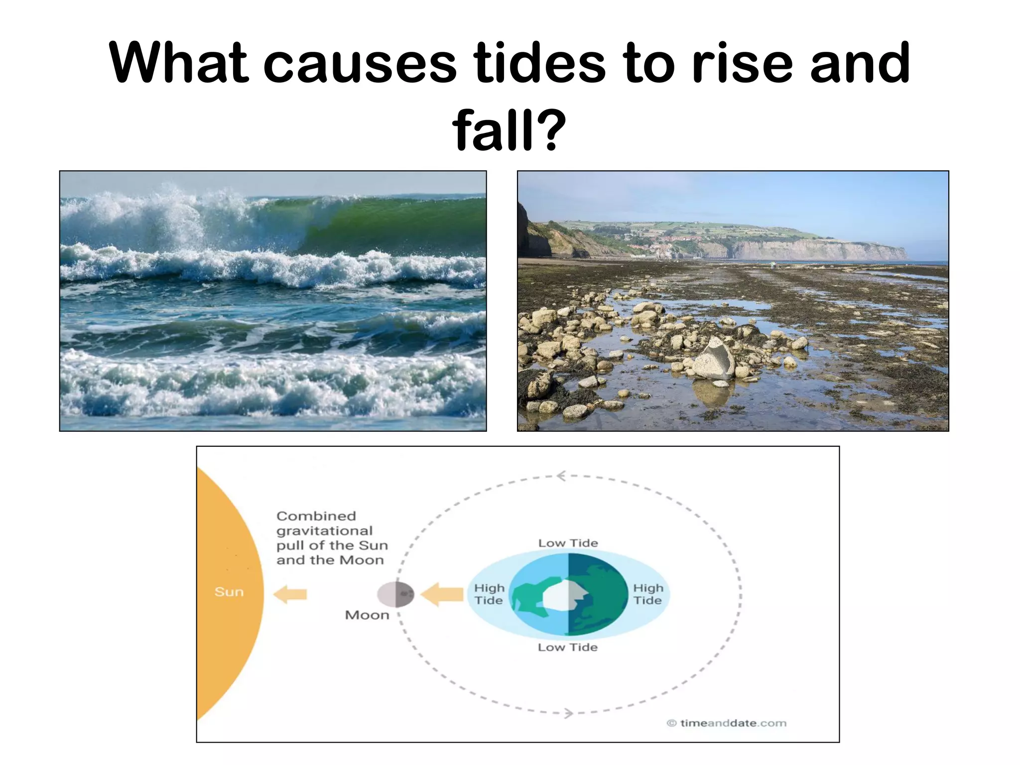 What causes tides to rise and
fall?
 