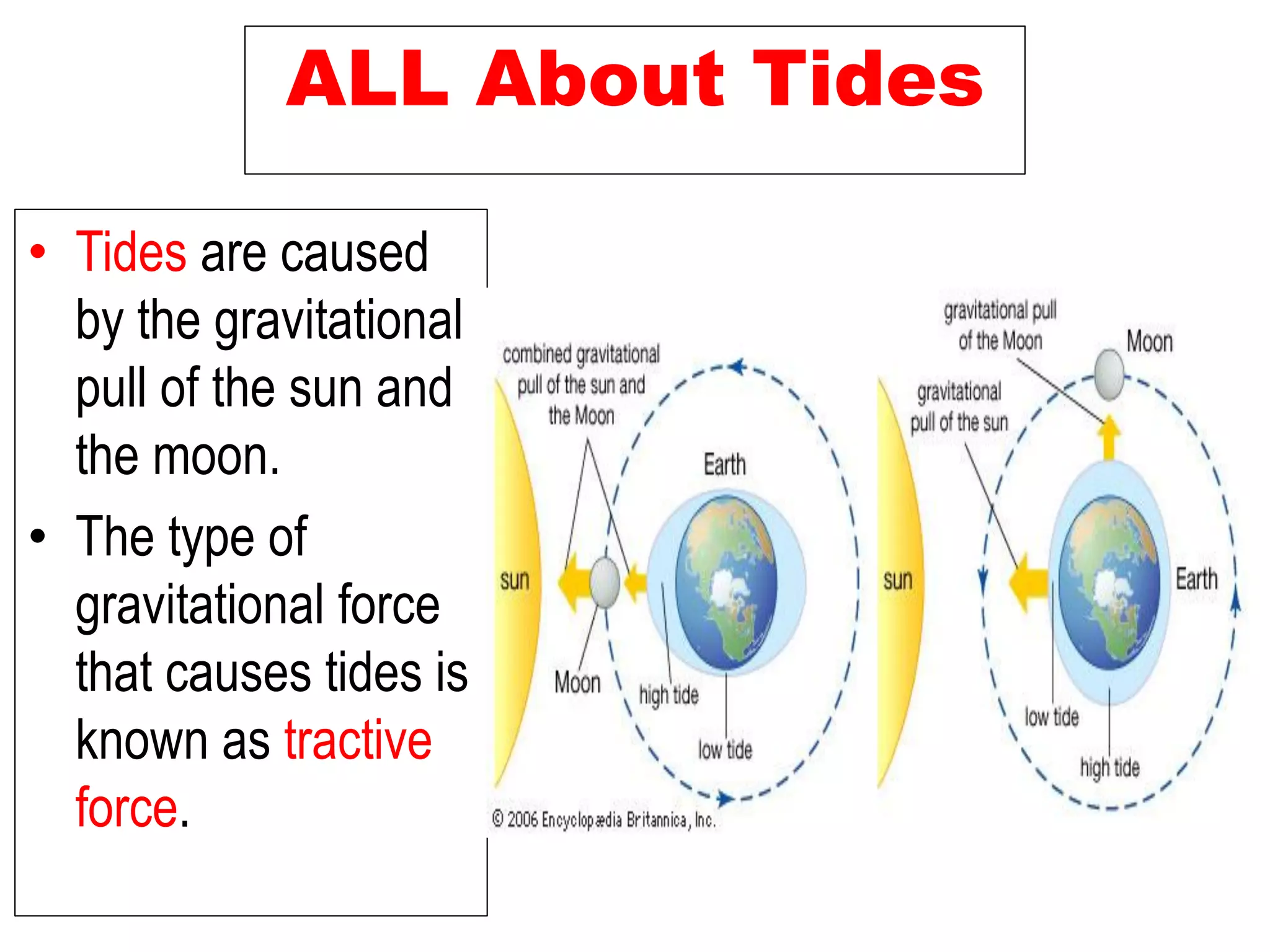 ALL About Tides
• Tides are caused
by the gravitational
pull of the sun and
the moon.
• The type of
gravitational force
that causes tides is
known as tractive
force.
 