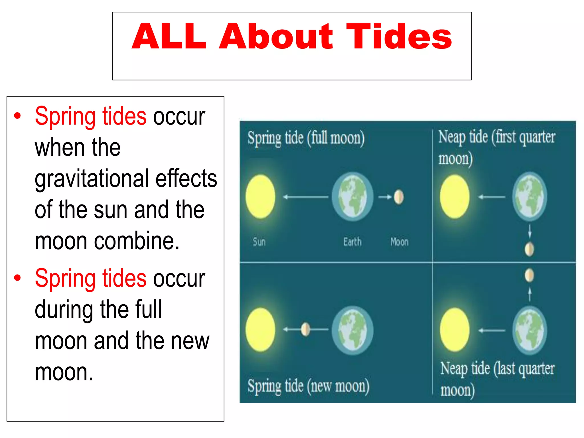 ALL About Tides
• Spring tides occur
when the
gravitational effects
of the sun and the
moon combine.
• Spring tides occur
during the full
moon and the new
moon.
 