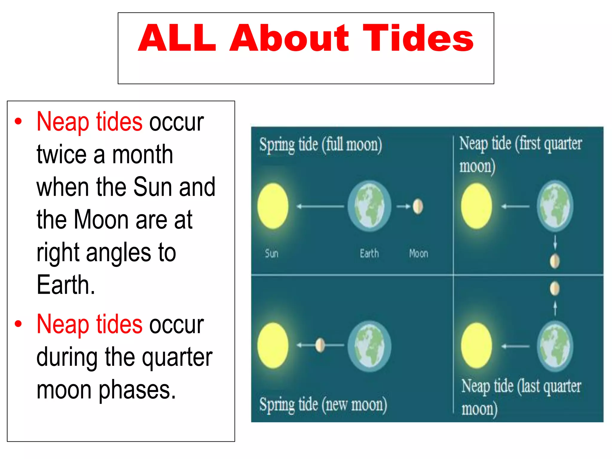 ALL About Tides
• Neap tides occur
twice a month
when the Sun and
the Moon are at
right angles to
Earth.
• Neap tides occur
during the quarter
moon phases.
 