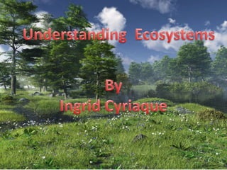 Understanding  Ecosystems By Ingrid Cyriaque 