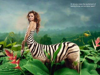 • Sameness versus unprecedented
Or do you crave the excitement of
seeing things you’ve never seen?
 