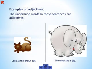 Examples on adjectives:
The underlined words in these sentences are
adjectives.
The elephant is big.Look at the brown cat.
 