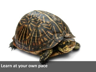 Learn at your own pace
 