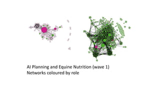 AI Planning and Equine Nutrition (wave 1)
Networks coloured by role
 