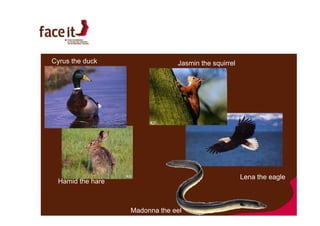 Curriculum & learning