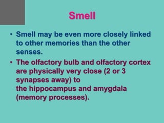 Smell
• Smell may be even more closely linked
to other memories than the other
senses.
• The olfactory bulb and olfactory cortex
are physically very close (2 or 3
synapses away) to
the hippocampus and amygdala
(memory processes).
 