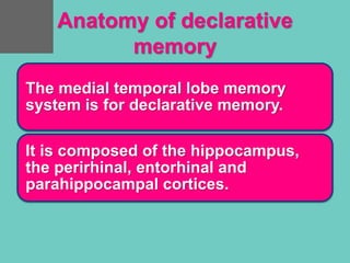 Anatomy of declarative
memory
The medial temporal lobe memory
system is for declarative memory.
It is composed of the hippocampus,
the perirhinal, entorhinal and
parahippocampal cortices.
 