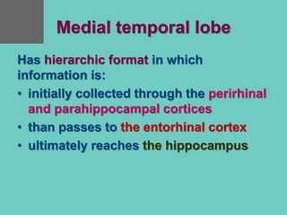 Medial temporal lobe
Has hierarchic format in which
information is:
• initially collected through the perirhinal
and parahippocampal cortices
• than passes to the entorhinal cortex
• ultimately reaches the hippocampus
 