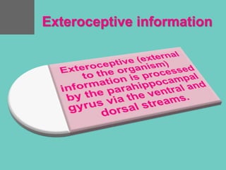 Exteroceptive information
 
