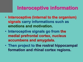 Interoceptive information
• Interoceptive (internal to the organism)
signals carry informations such as
emotions and motivation.
• Interoceptive signals go from the
medial prefrontal cortex, nucleus
accumbens and amygdala.
• Then project to the rostral hippocampal
formation and rhinal cortex regions.
 