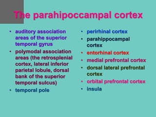 The parahipoccampal cortex
• auditory association
areas of the superior
temporal gyrus
• polymodal association
areas (the retrosplenial
cortex, lateral inferior
parietal lobule, dorsal
bank of the superior
temporal sulcus)
• temporal pole
• perirhinal cortex
• parahippocampal
cortex
• entorhinal cortex
• medial prefrontal cortex
• dorsal lateral prefrontal
cortex
• orbital prefrontal cortex
• insula
 