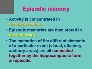 Episodic memory
• Activity is concentrated in
the hippocampus.
• Episodic memories are then stored in
the neocortex.
• The memories of the different elements
of a particular event (visual, olfactory,
auditory areas) are all connected
together by the hippocampus to form
an episode.
 
