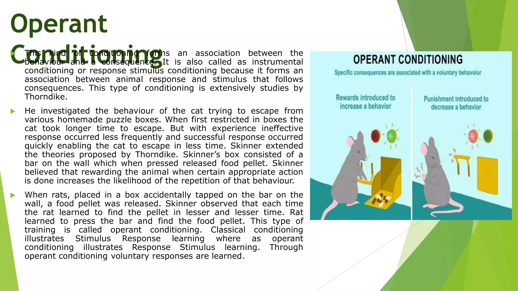 Operant
Conditioning
 This kind of conditioning forms an association between the
behaviour and a consequence. It is also called as instrumental
conditioning or response stimulus conditioning because it forms an
association between animal response and stimulus that follows
consequences. This type of conditioning is extensively studies by
Thorndike.
 He investigated the behaviour of the cat trying to escape from
various homemade puzzle boxes. When first restricted in boxes the
cat took longer time to escape. But with experience ineffective
response occurred less frequently and successful response occurred
quickly enabling the cat to escape in less time. Skinner extended
the theories proposed by Thorndike. Skinner’s box consisted of a
bar on the wall which when pressed released food pellet. Skinner
believed that rewarding the animal when certain appropriate action
is done increases the likelihood of the repetition of that behaviour.
 When rats, placed in a box accidentally tapped on the bar on the
wall, a food pellet was released. Skinner observed that each time
the rat learned to find the pellet in lesser and lesser time. Rat
learned to press the bar and find the food pellet. This type of
training is called operant conditioning. Classical conditioning
illustrates Stimulus Response learning where as operant
conditioning illustrates Response Stimulus learning. Through
operant conditioning voluntary responses are learned.
 