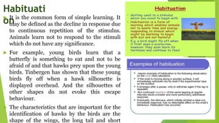 Habituati
on
 It is the common form of simple learning. It
may be defined as the decline in response due
to continuous repetition of the stimulus.
Animals learn not to respond to the stimuli
which do not have any significance.
 For example, young birds learn that a
butterfly is something to eat and not to be
afraid of and that hawks prey upon the young
birds. Tinbergen has shown that these young
birds fly off when a hawk silhouette is
displayed overhead. And the silhouettes of
other shapes do not evoke this escape
behaviour.
 The characteristics that are important for the
identification of hawks by the birds are the
shape of the wings, the long tail and short
 