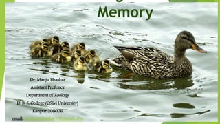 Memory
Dr. Manju Bhaskar
Assistant Professor
Department of Zoology
D. B. S. College (CSJM University)
Kanpur 208006
email: drmanjubhaskar19@gmail.com
 