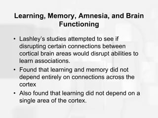 learning and memory lecture.ppt