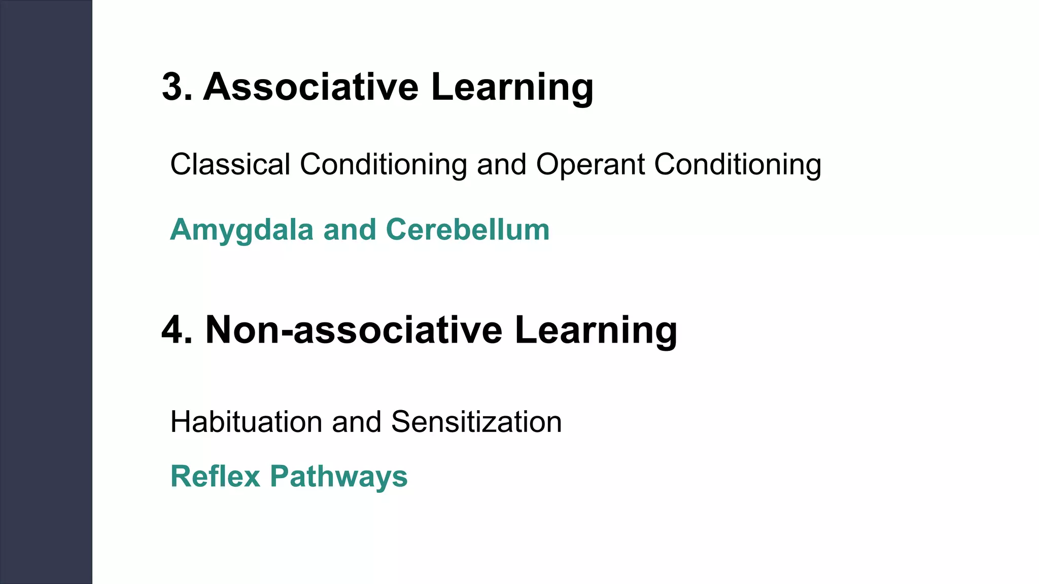 3. Associative Learning
Classical Conditioning and Operant Conditioning
Amygdala and Cerebellum
4. Non-associative Learning
Habituation and Sensitization
Reflex Pathways
 