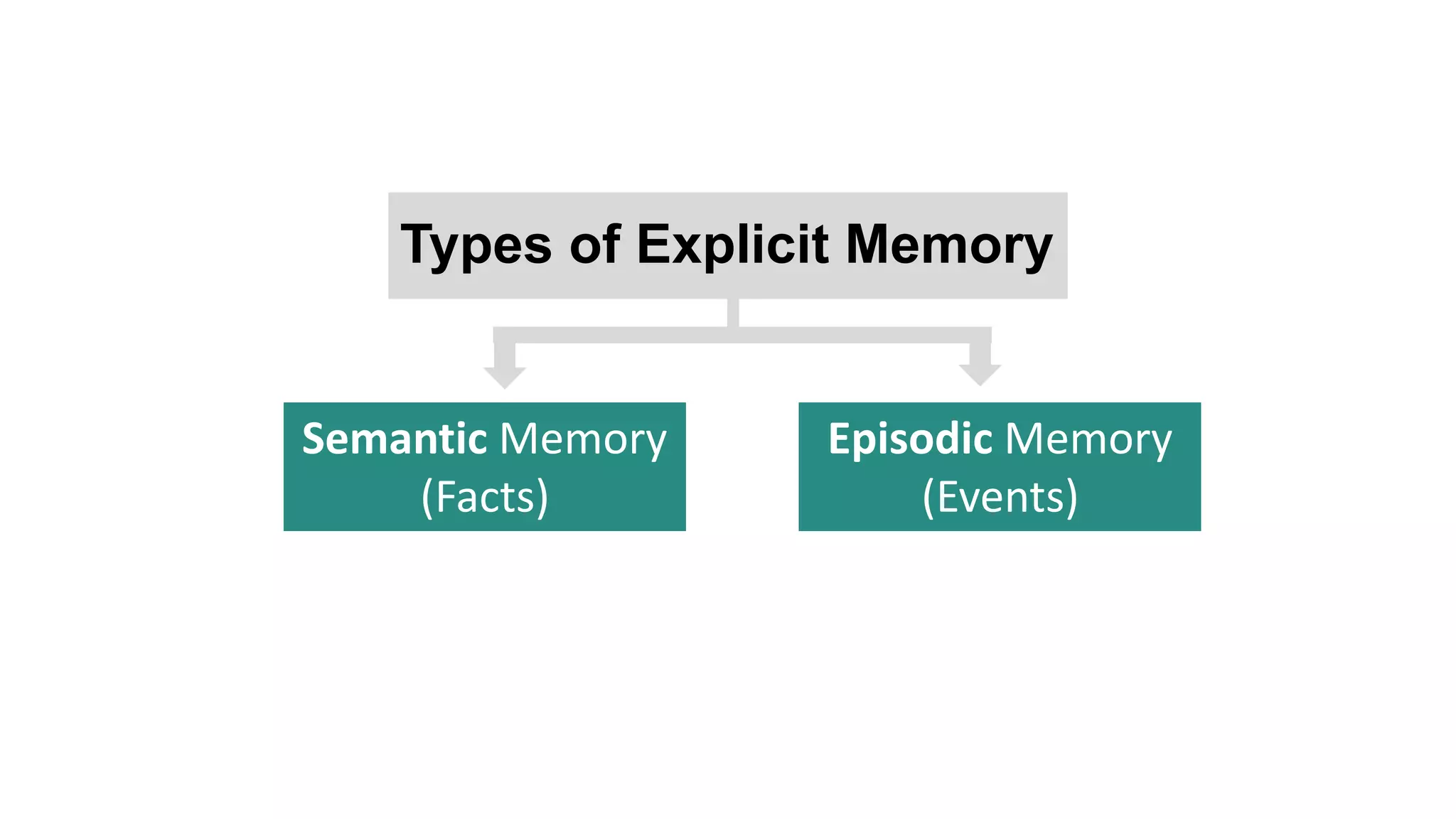 Types of Explicit Memory
Semantic Memory
(Facts)
Episodic Memory
(Events)
 