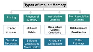 Learning and Memory | PDF
