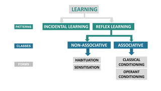 Learning and Memory | PDF | Science