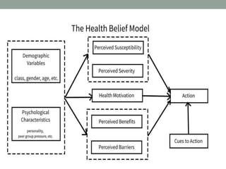 Learning and perception
