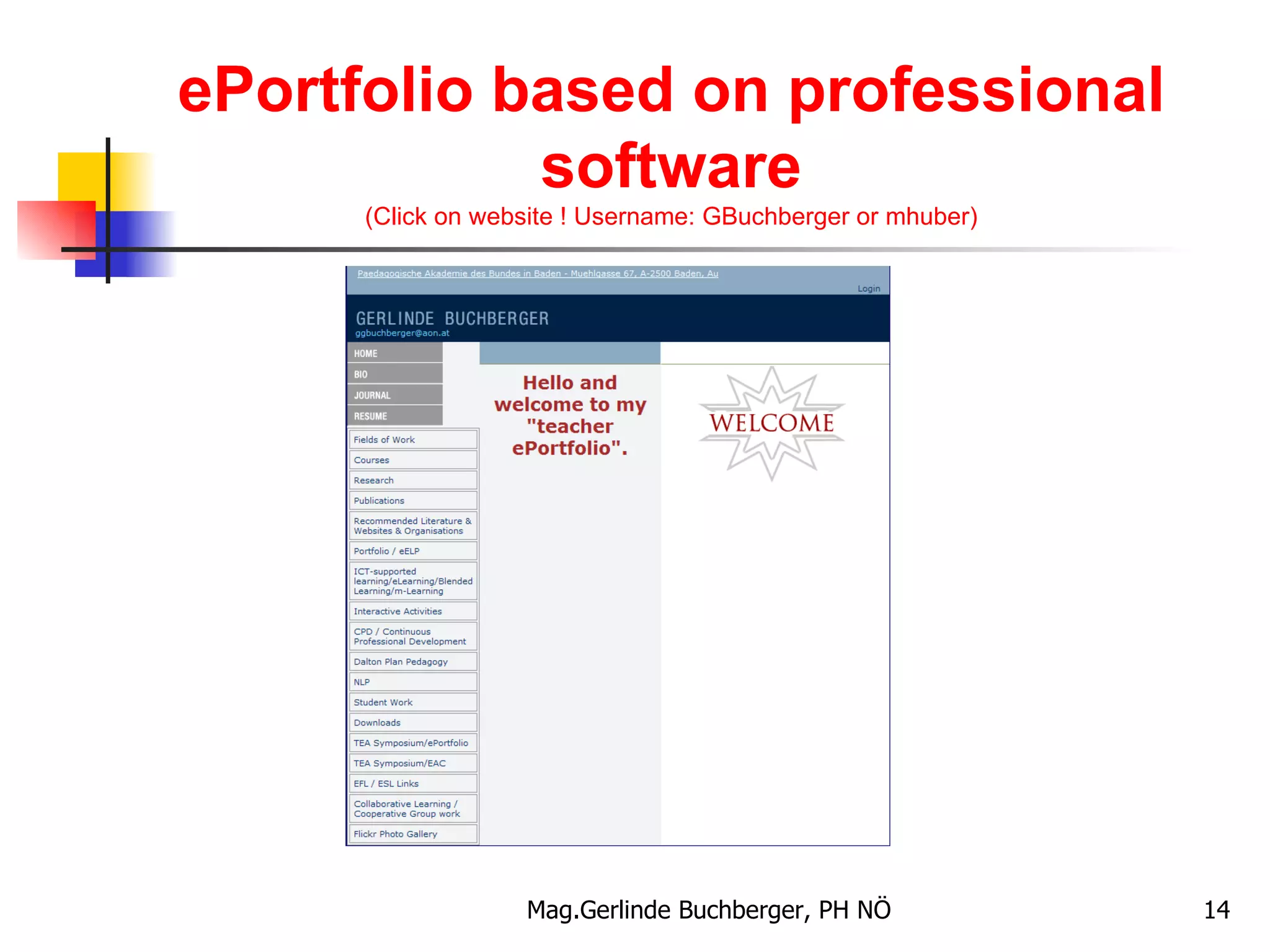 ePortfolio based on professional software (Click on website ! Username: GBuchberger or mhuber) 