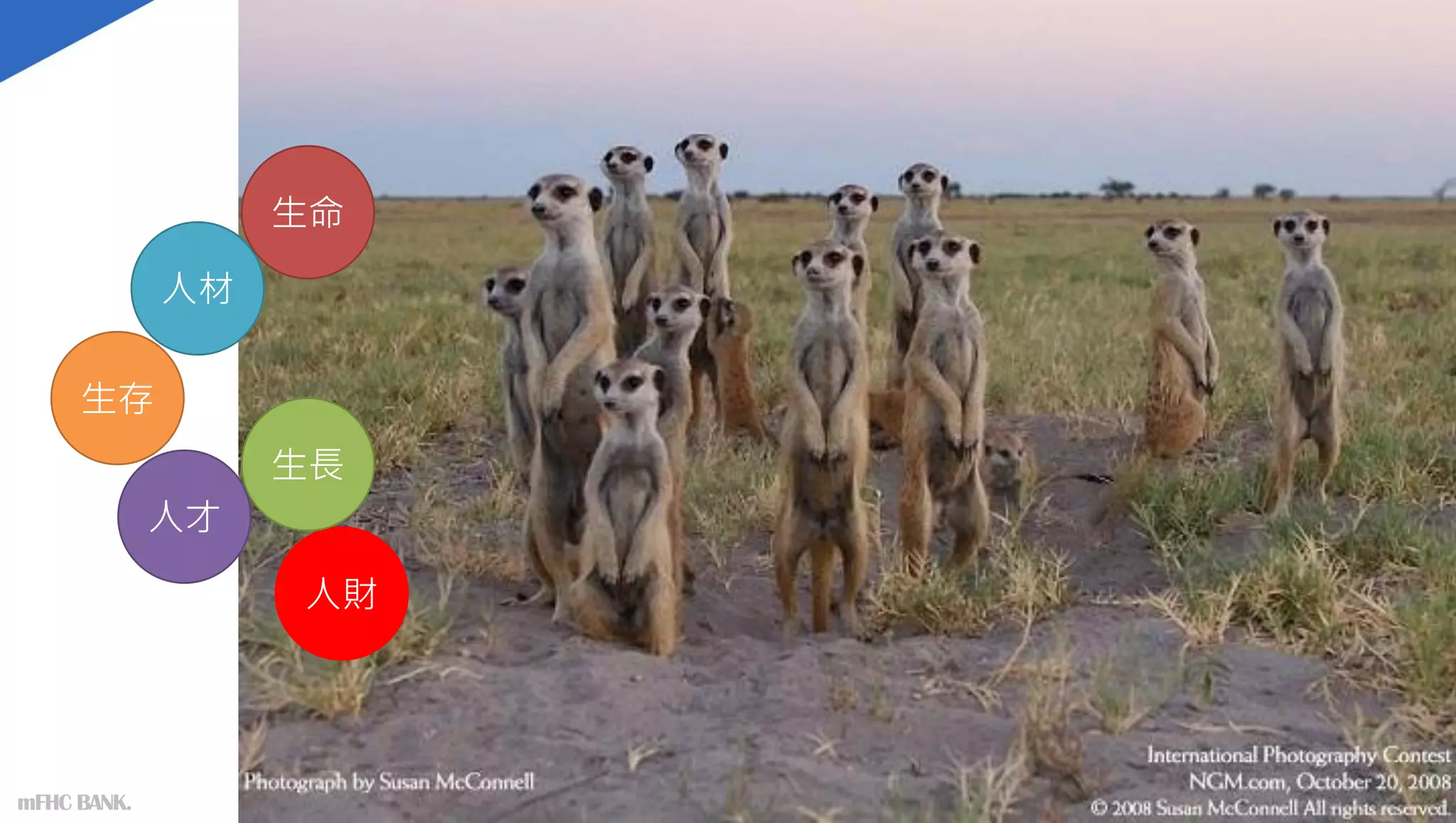 人材
人才
人財
生命
生存
生長
mFHC BANK.
 