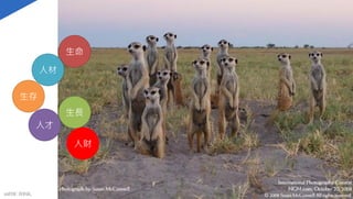 人材
人才
人財
生命
生存
生長
mFHC BANK.
 