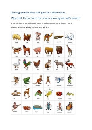 Learning animal names with pictures English lesson

What will I learn from the lesson learning animal’s names?
This English lesson you will learn the names for various animals using pictures and words.

List of animals with pictures and words
 