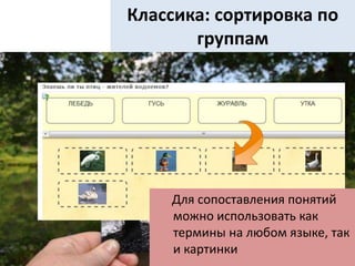Классика: сортировка по
группам
Для сопоставления понятий
можно использовать как
термины на любом языке, так
и картинки
 
