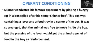 • Skinner conducted his famous experiment by placing a hungry
rat in a box called after his name ‘Skinner box’. This box was
containing a lever and a food tray in a corner of the box. It was
so arranged, that the animal was free to move inside the box,
but the pressing of the lever would get the animal a pellet of
food in the tray as reinforcement.
OPERANT CONDITIONING
 