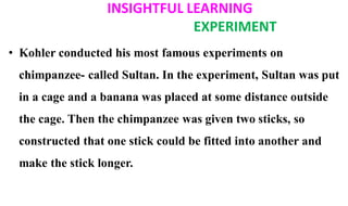 • Kohler conducted his most famous experiments on
chimpanzee- called Sultan. In the experiment, Sultan was put
in a cage and a banana was placed at some distance outside
the cage. Then the chimpanzee was given two sticks, so
constructed that one stick could be fitted into another and
make the stick longer.
INSIGHTFUL LEARNING
EXPERIMENT
 