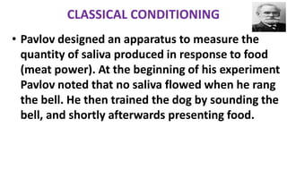CLASSICAL CONDITIONING
• Pavlov designed an apparatus to measure the
quantity of saliva produced in response to food
(meat power). At the beginning of his experiment
Pavlov noted that no saliva flowed when he rang
the bell. He then trained the dog by sounding the
bell, and shortly afterwards presenting food.
 