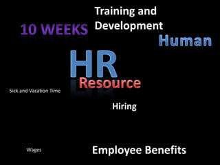 Training and
Development
Sick and Vacation Time
Hiring
Wages Employee Benefits