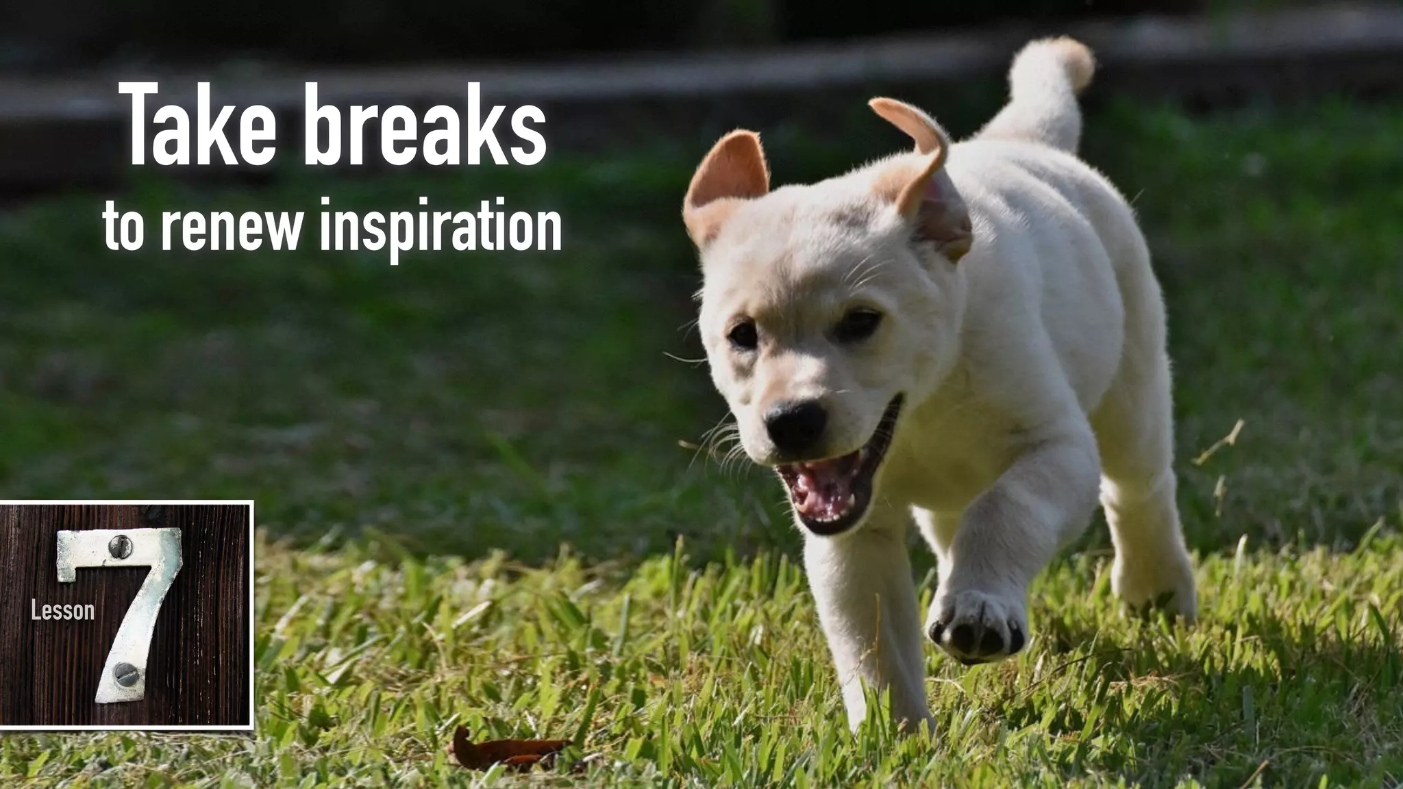 Take breaks
to renew inspiration
Lesson
 