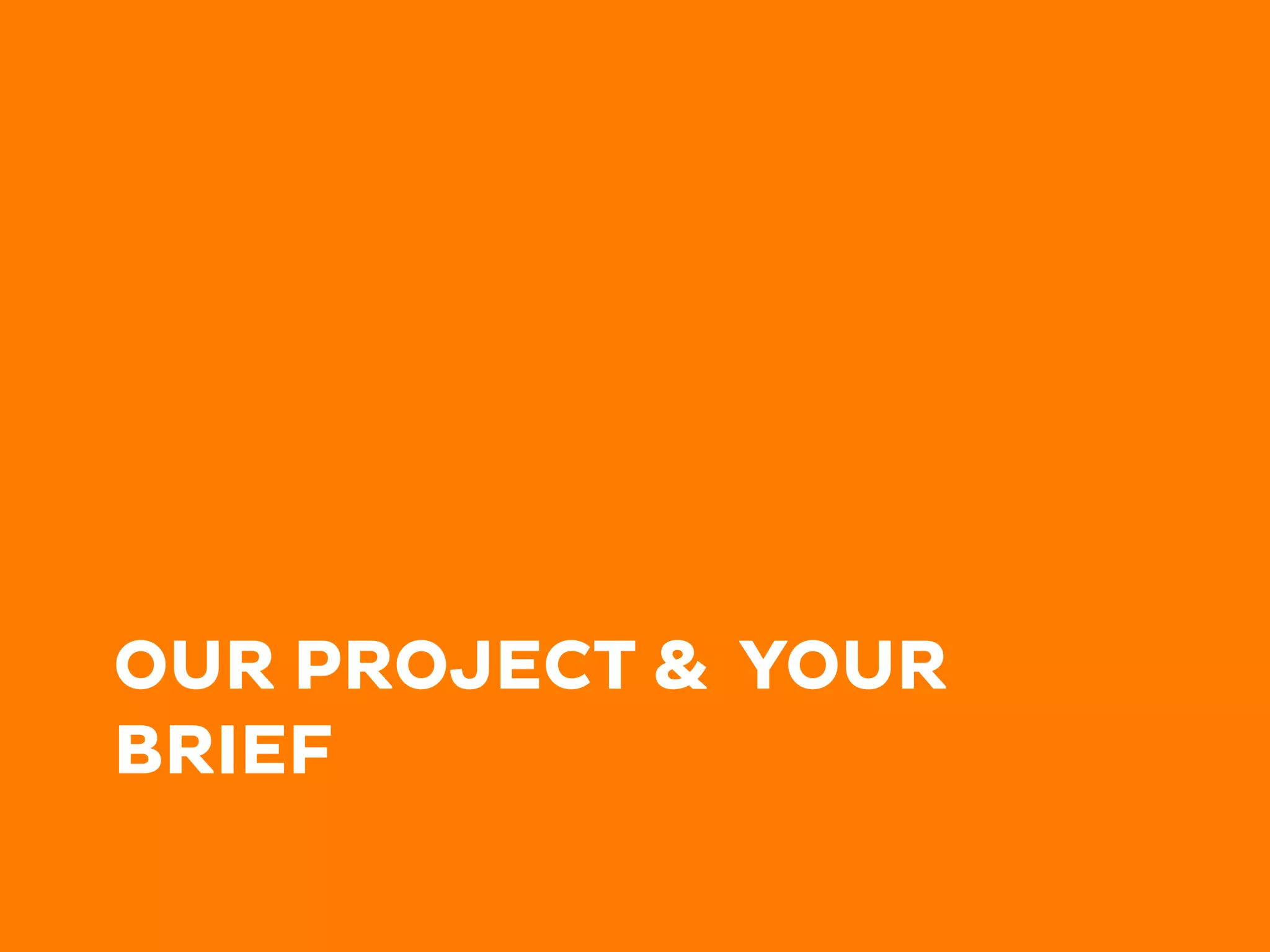 OUR PROJECT & YOUR
BRIEF
 