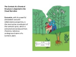 The Context of a Chemical
Structure is depicted in the
Visual Narrative
Curcumin, with its powerful
antioxidant and anti-
inflammatory properties, is
the most active constituent of
the turmeric spice, which is
extracted and produced from
rhizomes, tuberous
underground stems of a
turmeric plant.
 