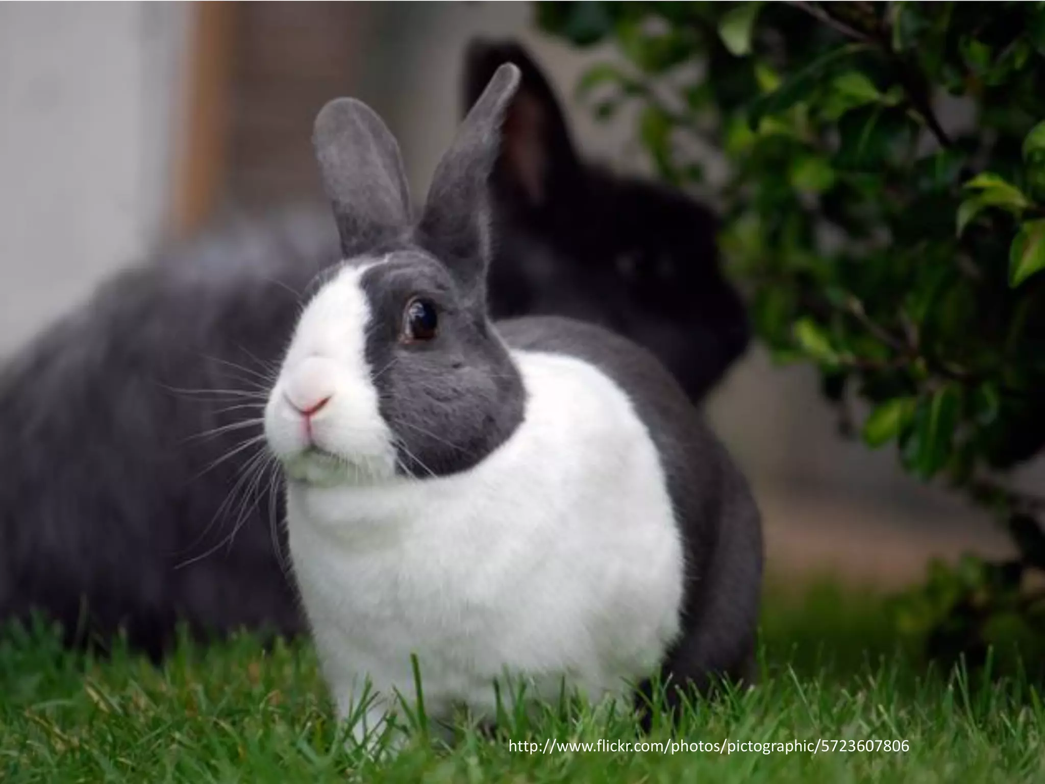 me

…

RADIO LOVE ME TENDER

 