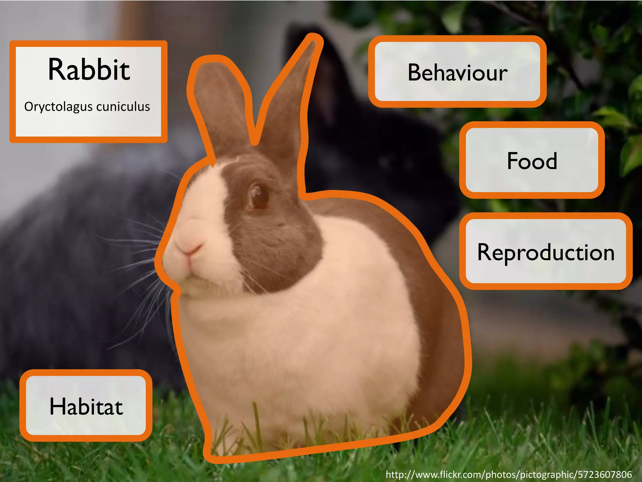 It is a magical
and powerful

tool

 