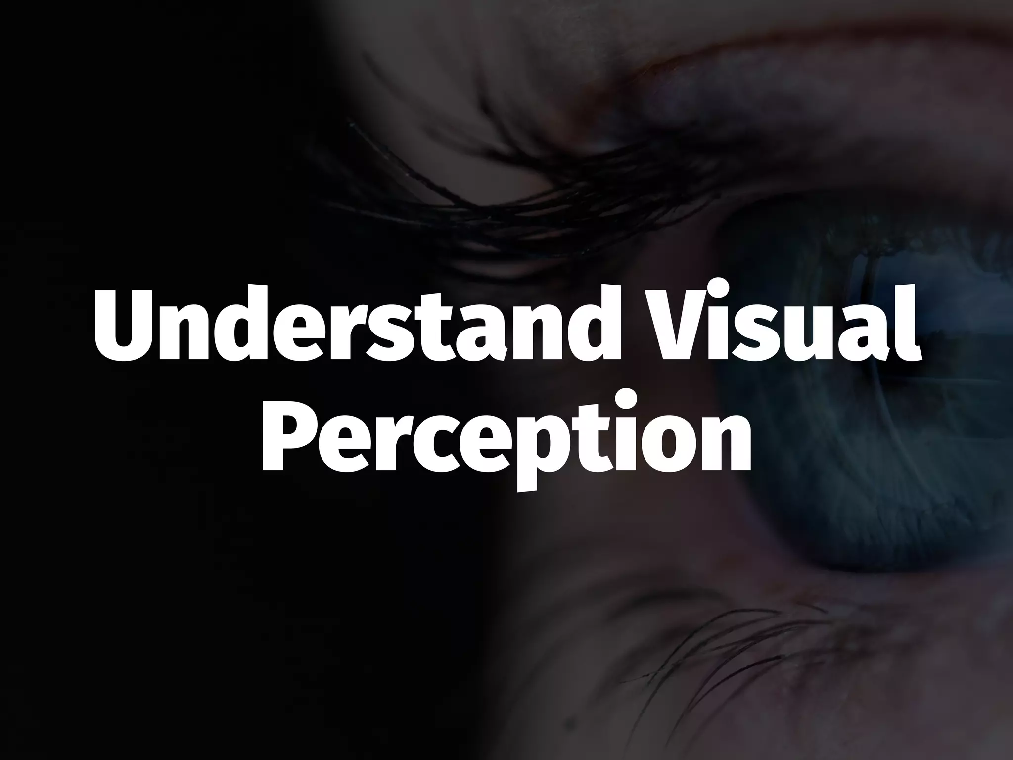 Understand Visual
Perception