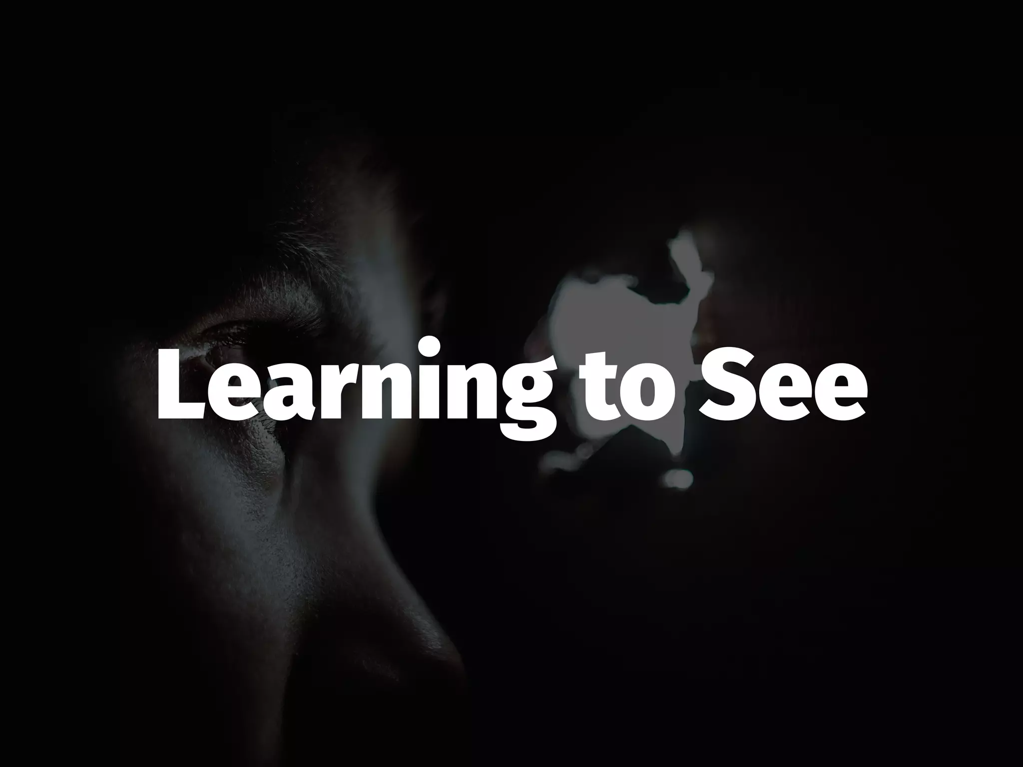 Learning to See