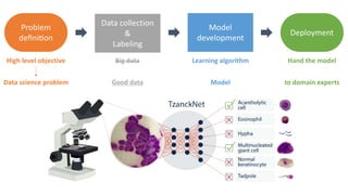 Machine Learning for Domain Experts | PDF