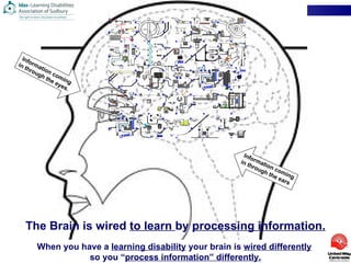 Information coming in through the eyes. Information coming  in through the ears The Brain is wired  to learn  by  processing information. When you have a  learning disability  your brain is  wired differently   so you “ process information” differently. 