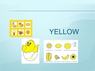YELLOW
 