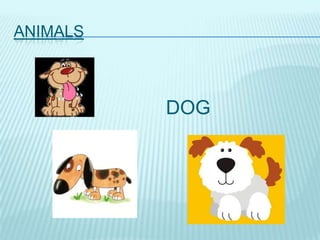 ANIMALS



          DOG
 
